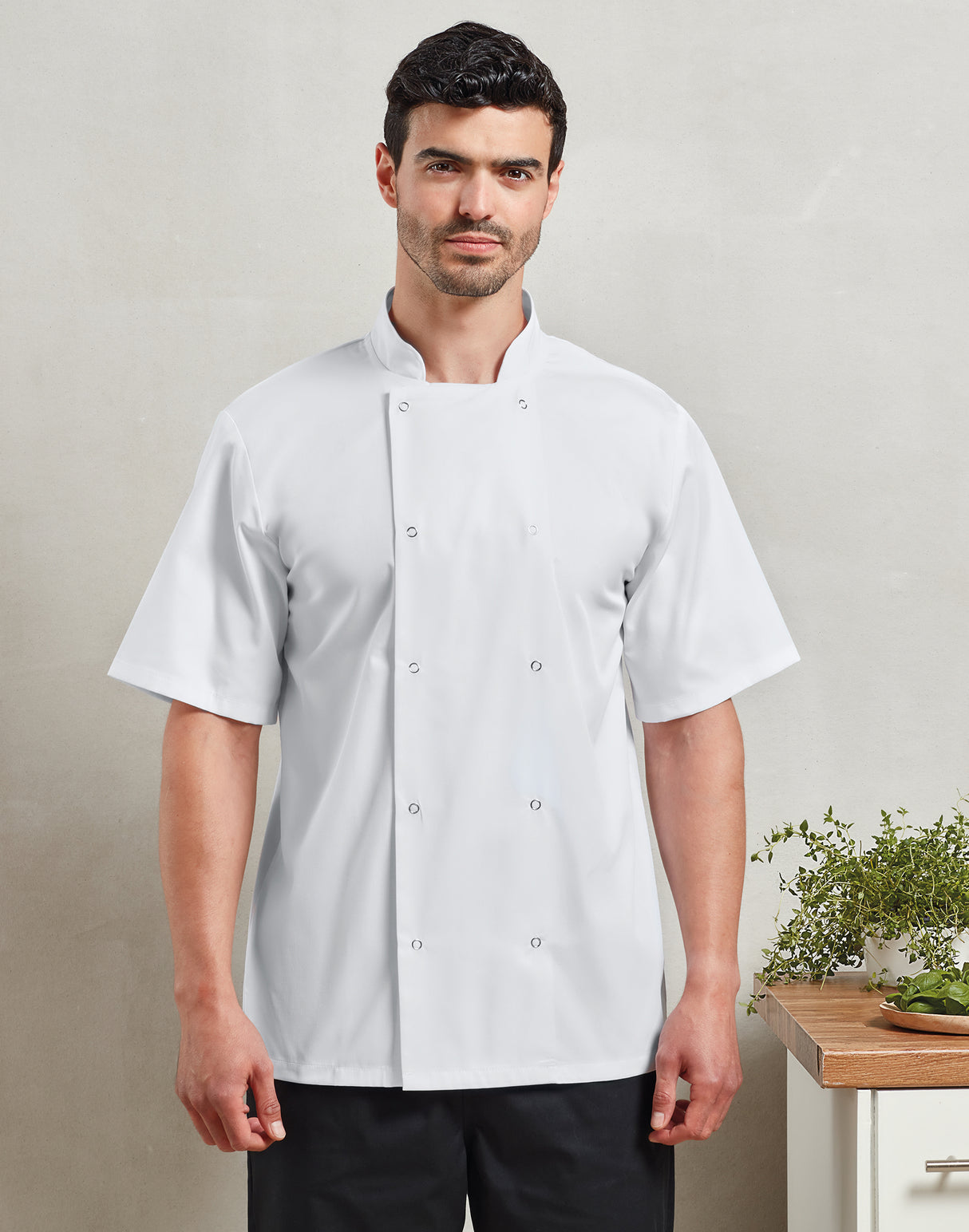 STUD FASTEN SHORT SLEEVE CHEF'S JACKET