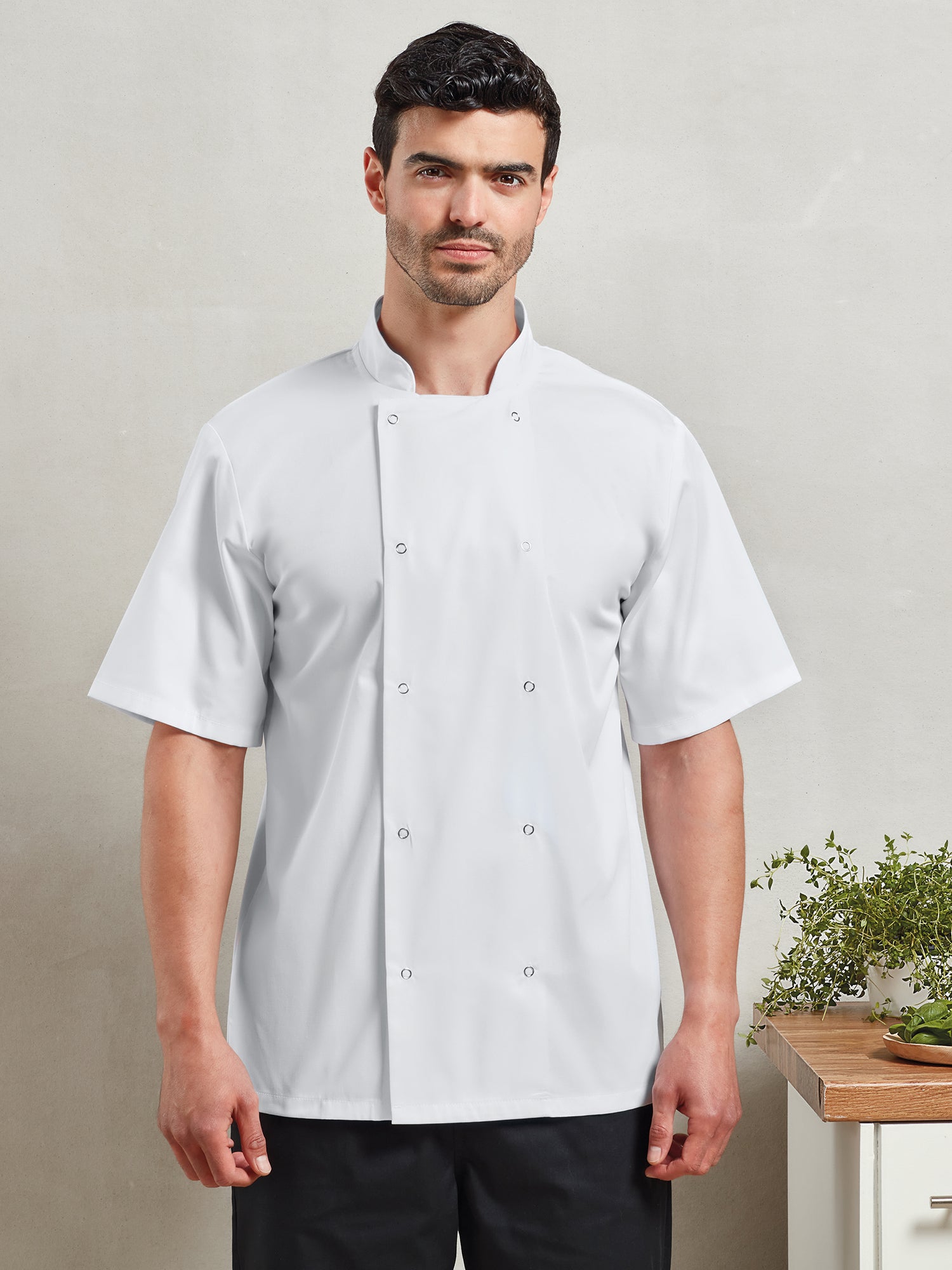 STUD FASTEN SHORT SLEEVE CHEF'S JACKET