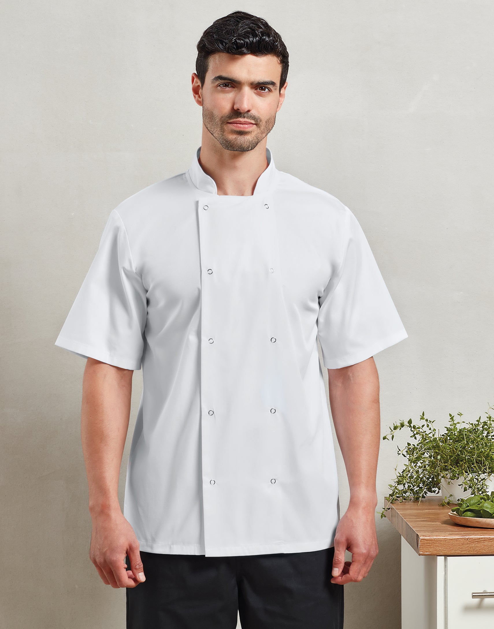 STUD FASTEN SHORT SLEEVE CHEF'S JACKET
