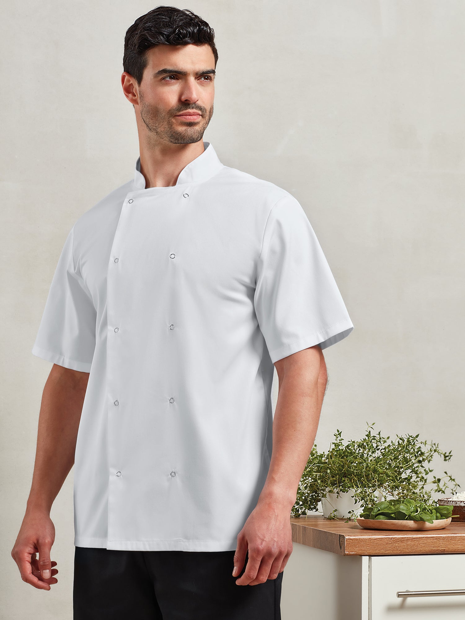 STUD FASTEN SHORT SLEEVE CHEF'S JACKET