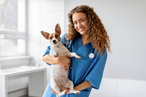 Veterinary groups